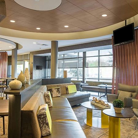Springhill Suites Tampa North/Tampa Palms Екстериор снимка