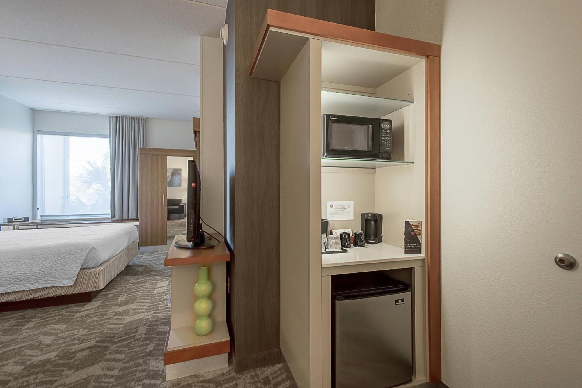 Springhill Suites Tampa North/Tampa Palms Екстериор снимка