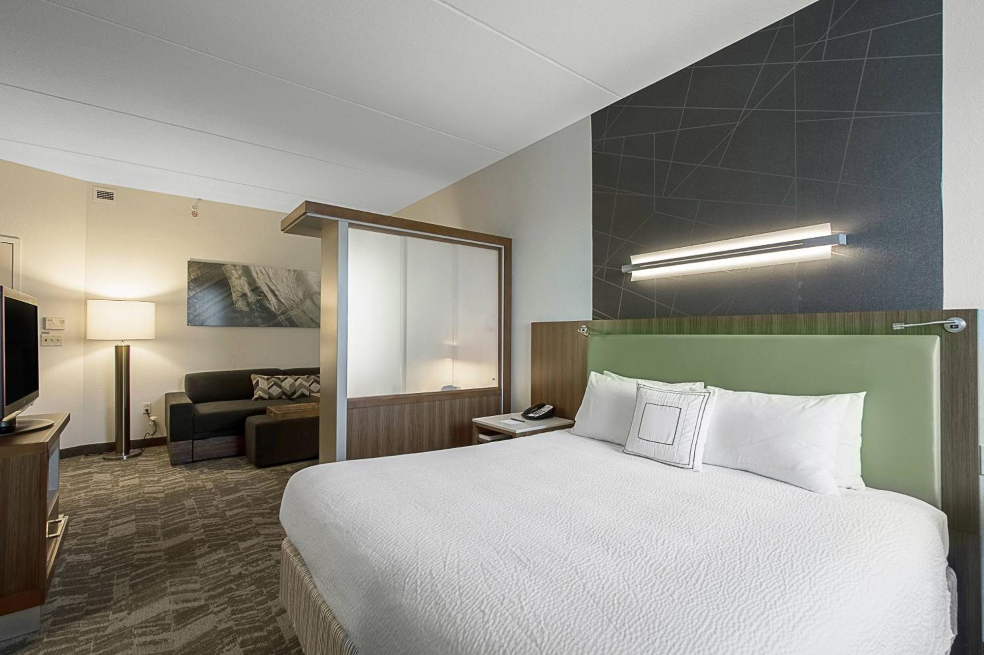 Springhill Suites Tampa North/Tampa Palms Екстериор снимка