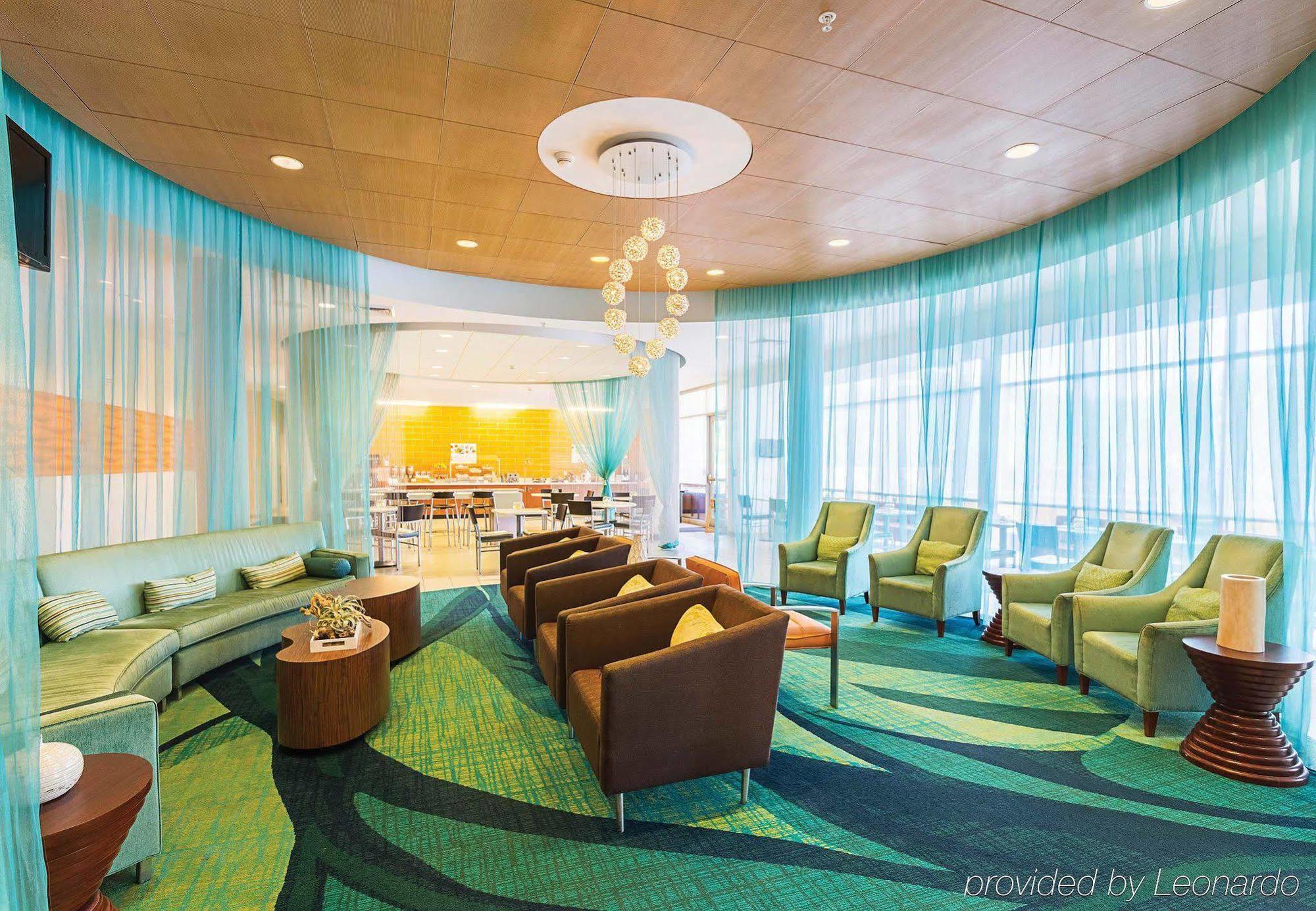 Springhill Suites Tampa North/Tampa Palms Екстериор снимка