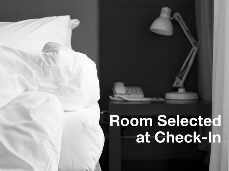 Springhill Suites Tampa North/Tampa Palms Екстериор снимка