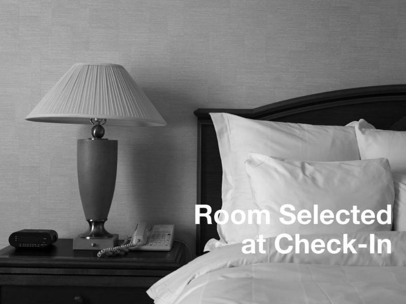 Springhill Suites Tampa North/Tampa Palms Екстериор снимка